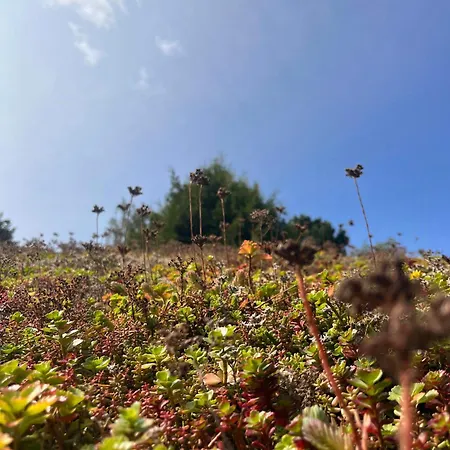 Casa de Férias Feel Calm In A Log Near Klintebjerg Nykøbing Sjælland